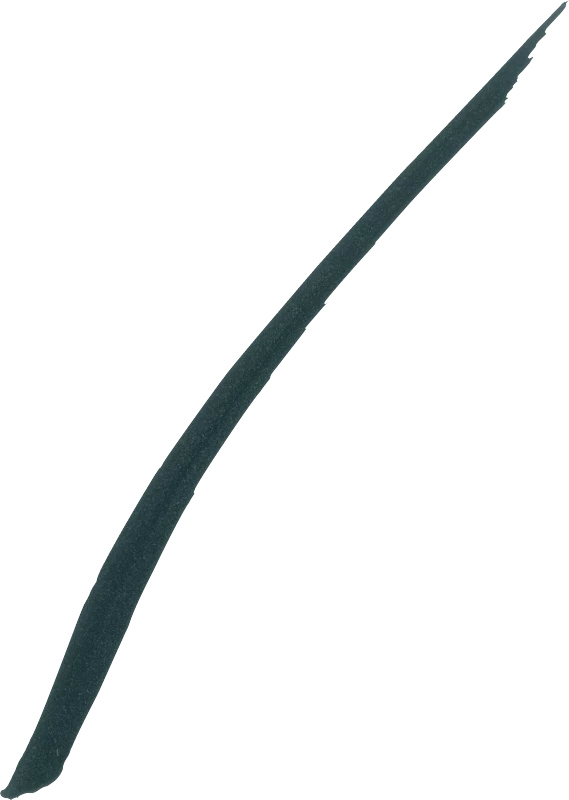 Maybelline New York Hyper Precise Liquid Pen Jungle Green – Bild 3