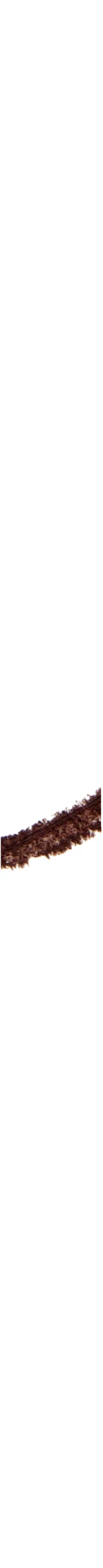 Wet N Wild Mega Last Breakup-Proof-Retractable Eyeliner - BLACK BROWN â Bild 2