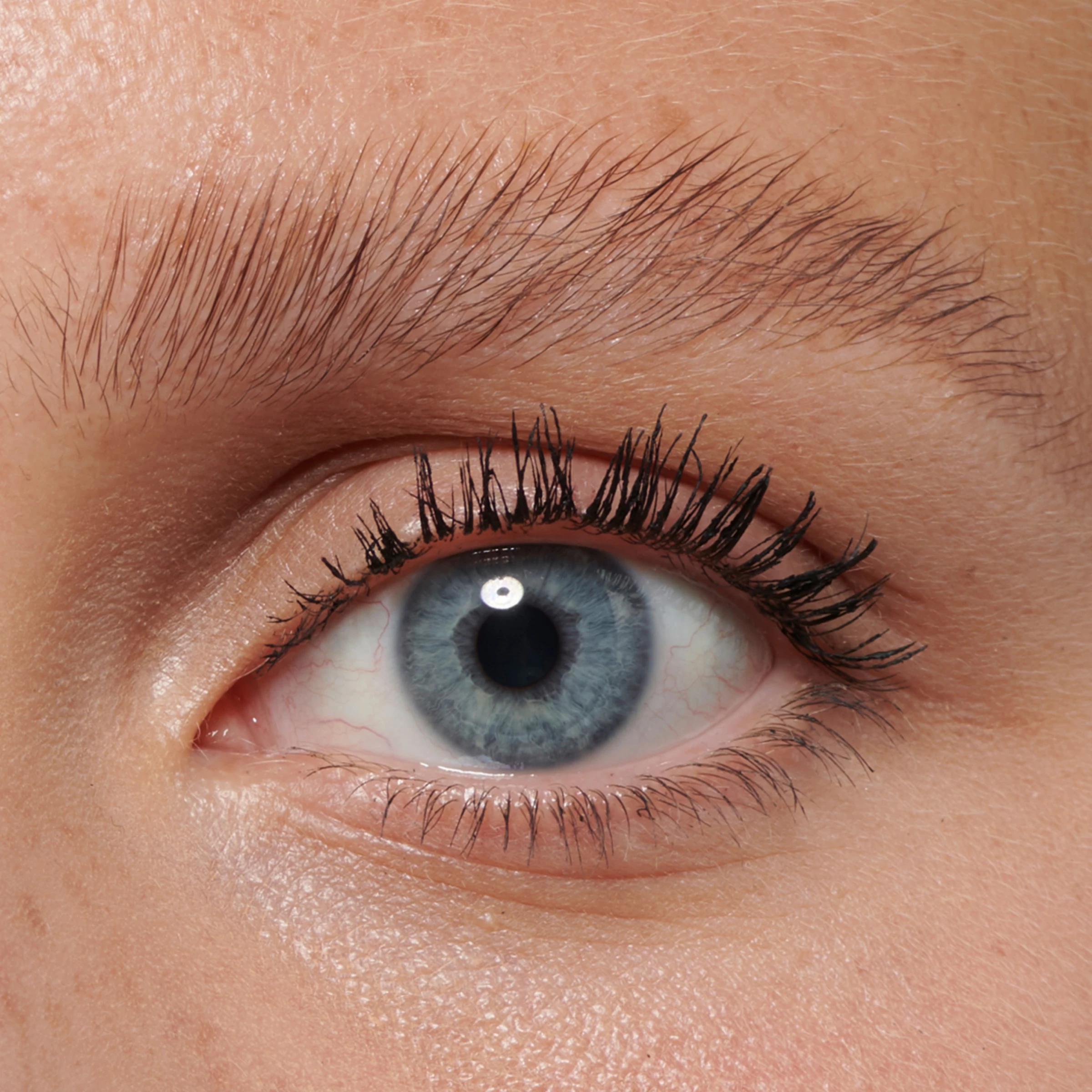 Revolution Makeup Revolution Laminate Brow Bronde â Bild 5